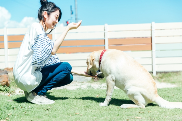 実店舗での製造