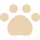 愛犬家シェフが作る 無添加イヌご飯 「chang」