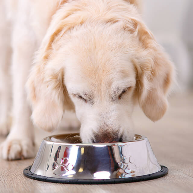 chang メインイメージ